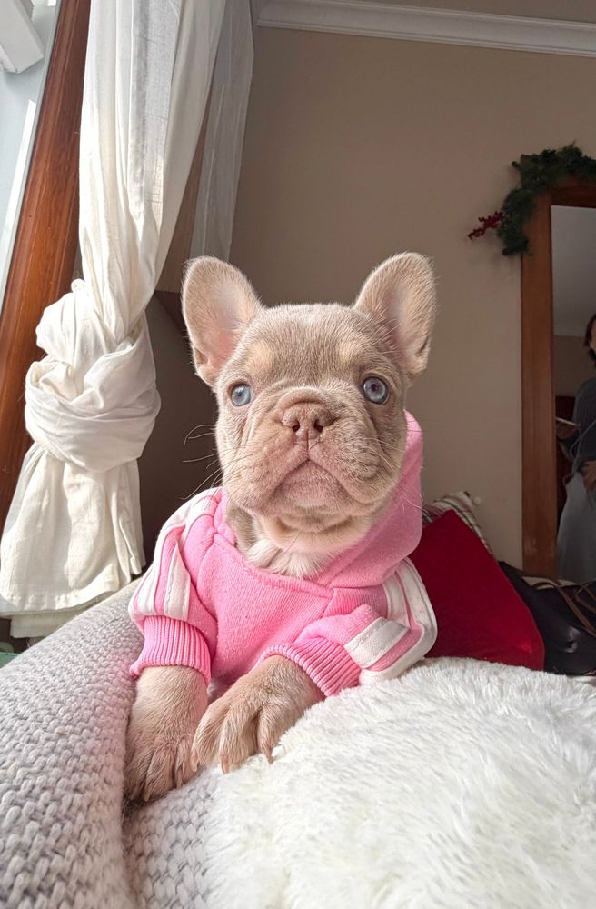 Valentina