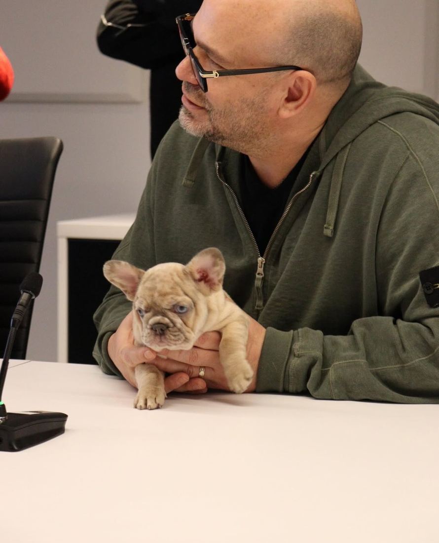 A MonRoyal Frenchies puppy event