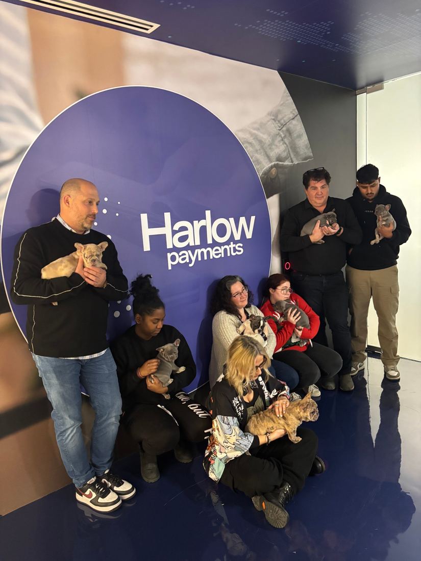 A MonRoyal Frenchies puppy event