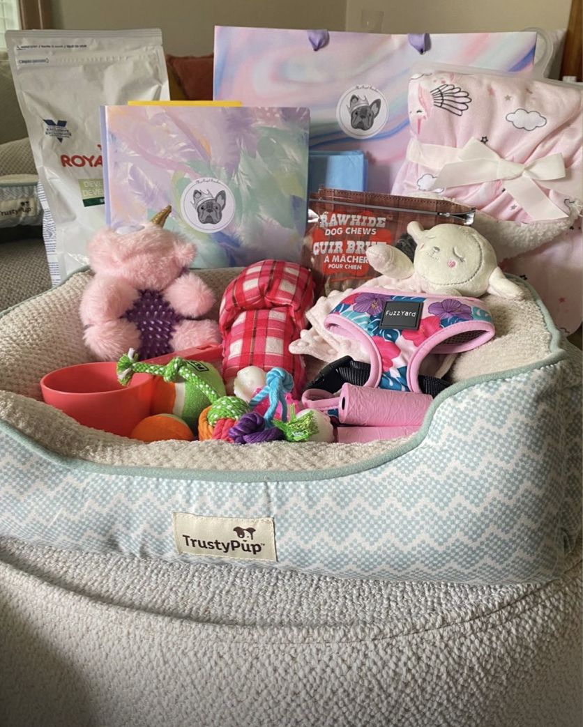 A MonRoyal Frenchies starter kit with bed, food, toys and blanket