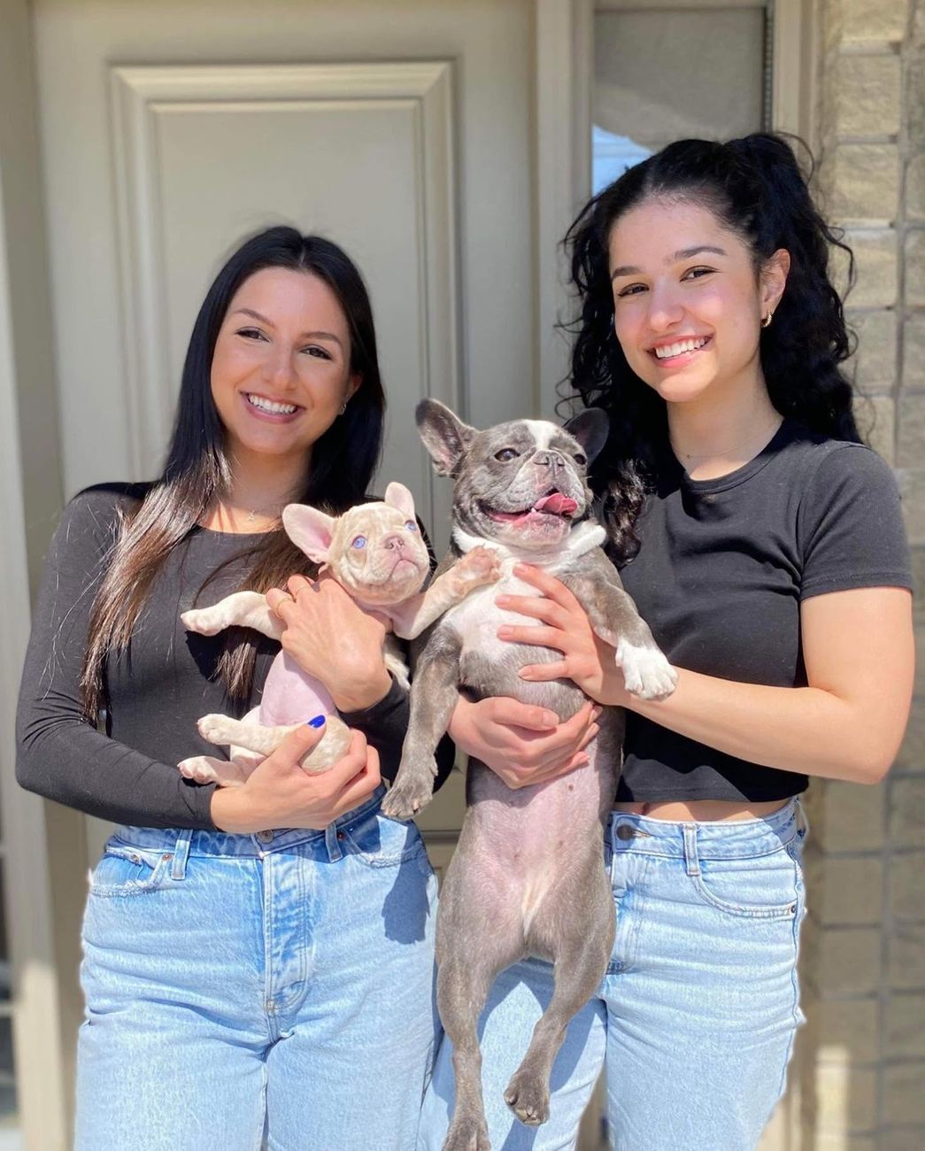 Two happy MonRoyal families with their Frenchies