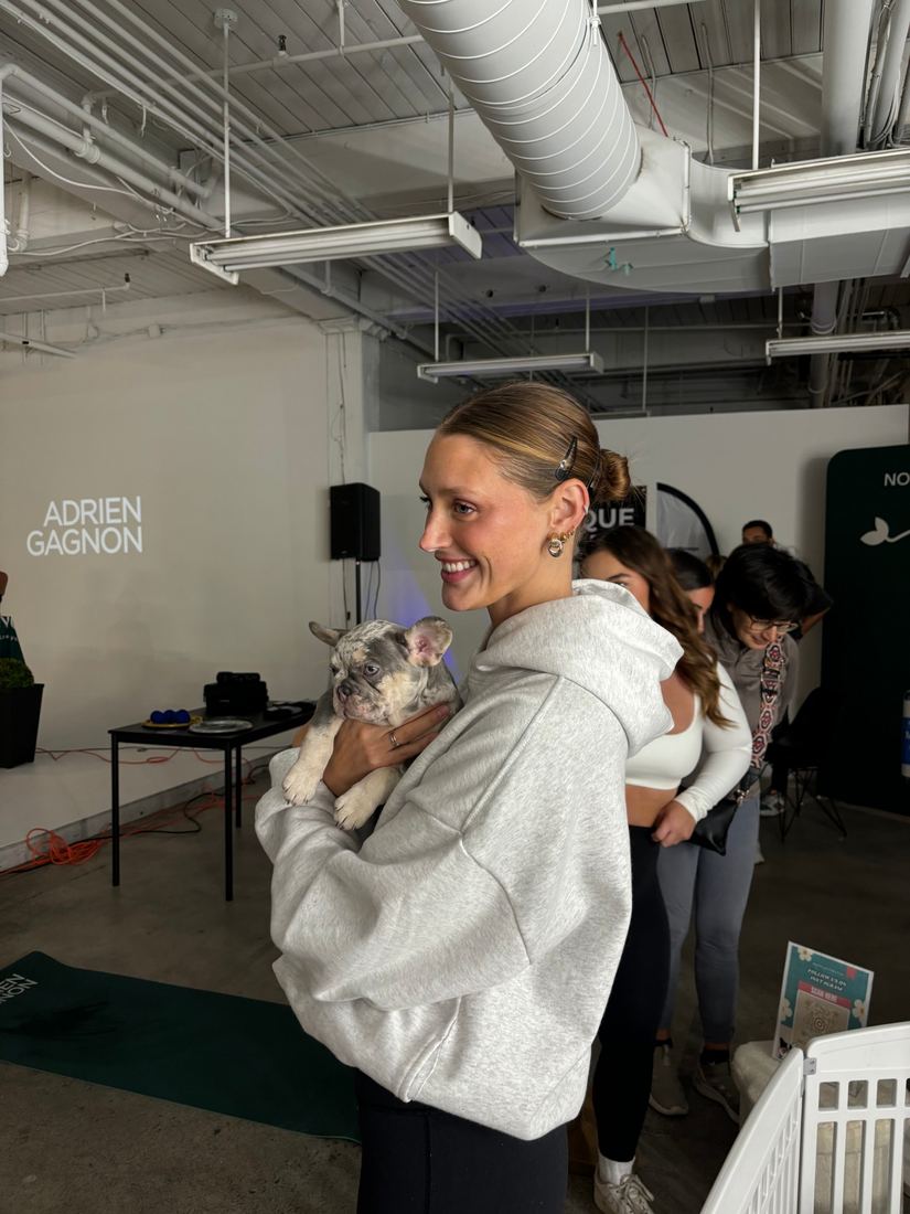 A MonRoyal Frenchies puppy event